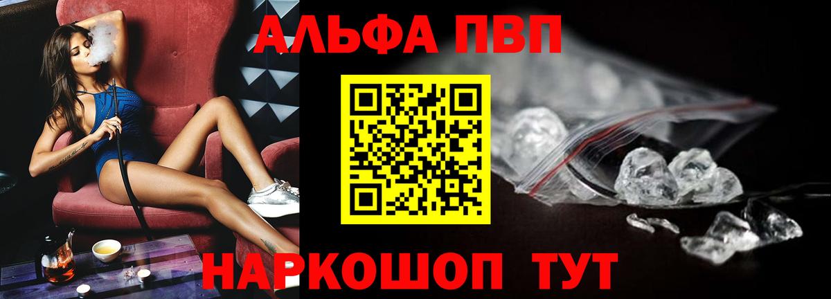 A PVP СК Североморск